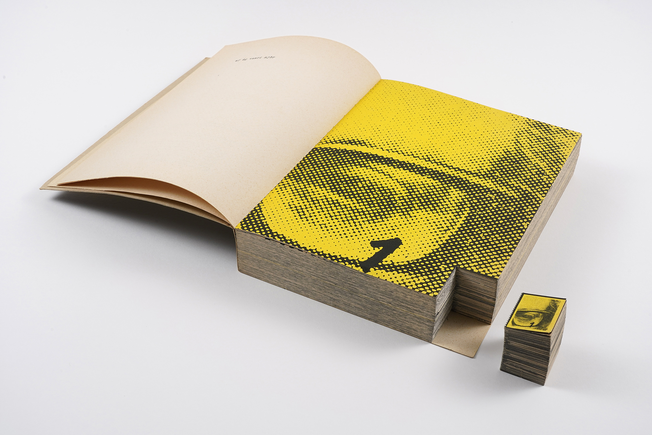 After Dieter Roth-1
